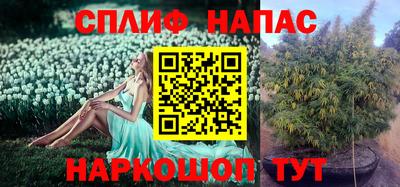 ALPHA PVP Новодвинск